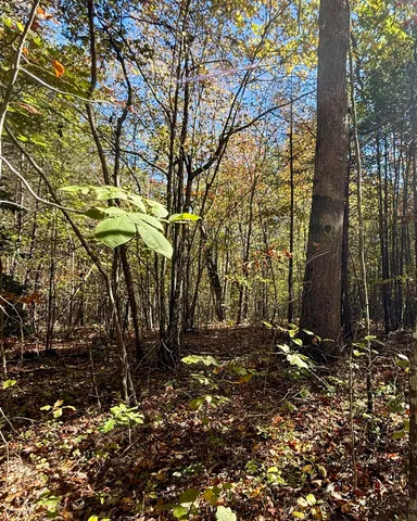 $70,434 | 0 Owl Hollow Road, Unit LOT 7, Palmer, TN 37365