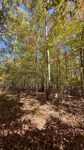 $70,434 | 0 Owl Hollow Road, Unit LOT 7, Palmer, TN 37365