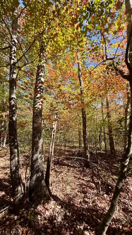 $70,434 | 0 Owl Hollow Road, Unit LOT 7, Palmer, TN 37365