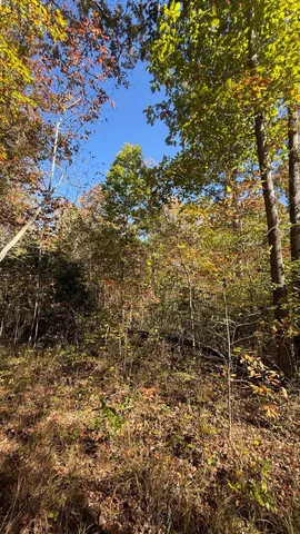 $70,434 | 0 Owl Hollow Road, Unit LOT 7, Palmer, TN 37365