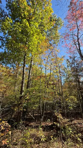 $70,434 | 0 Owl Hollow Road, Unit LOT 7, Palmer, TN 37365