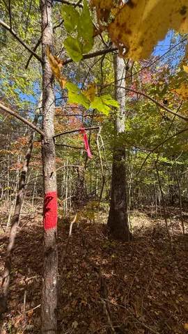 $70,434 | 0 Owl Hollow Road, Unit LOT 7, Palmer, TN 37365