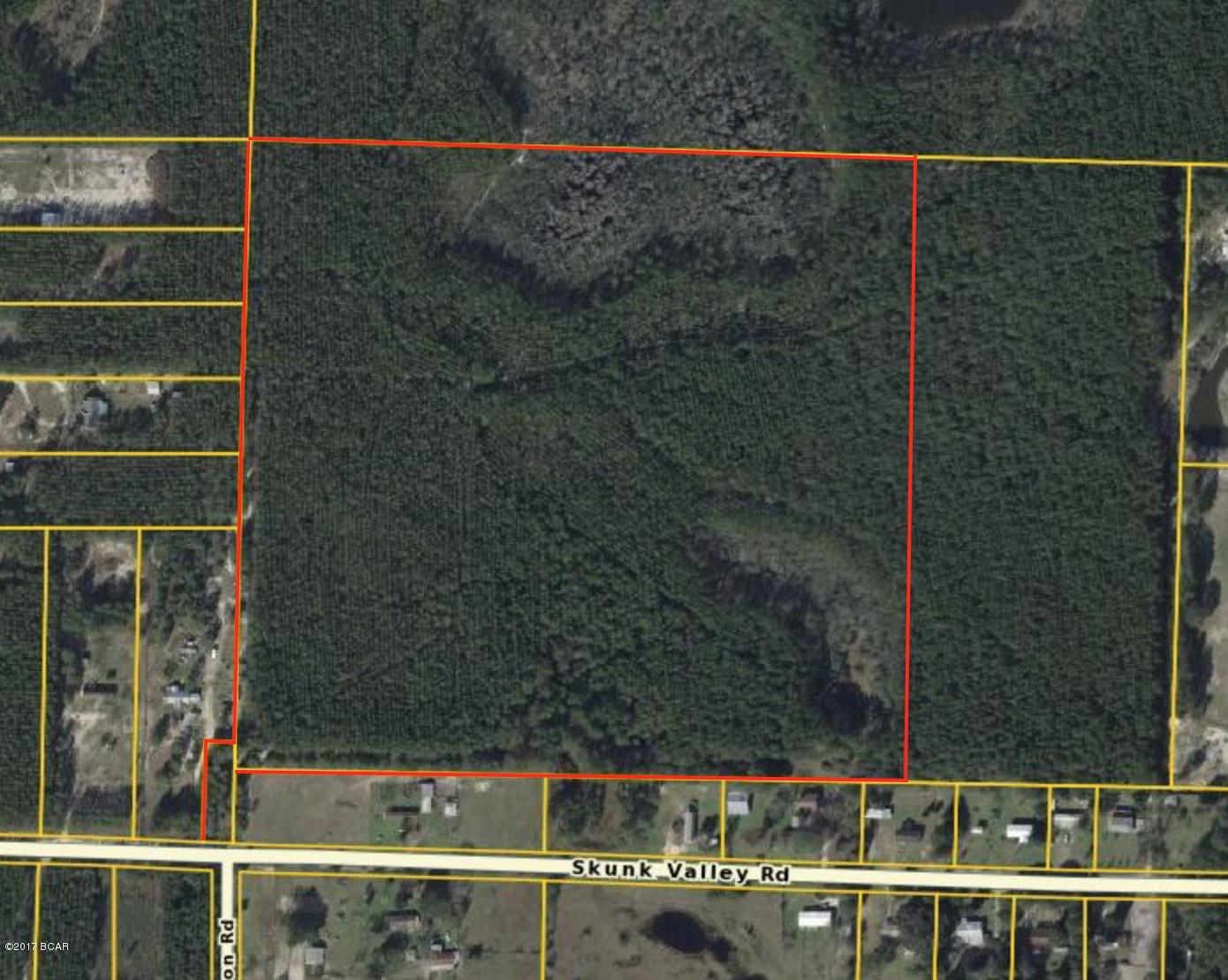 0 Skunk Valley Road Southport, FL 32409 - Photo 1 of 4 Gallery Image 1