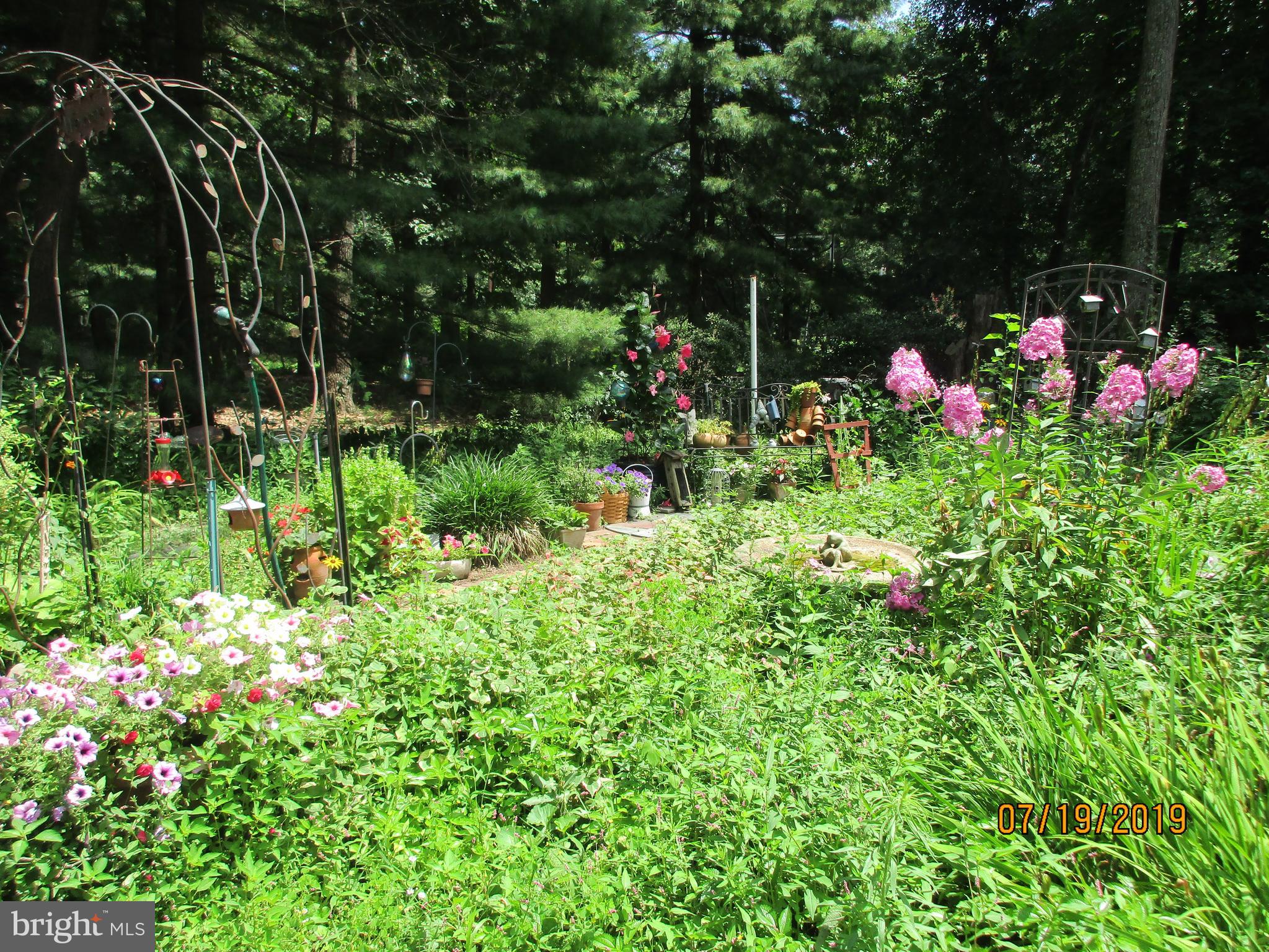 103 Stokes Road Shamong, NJ 08088 - Photo 3 of 23 Front Garden