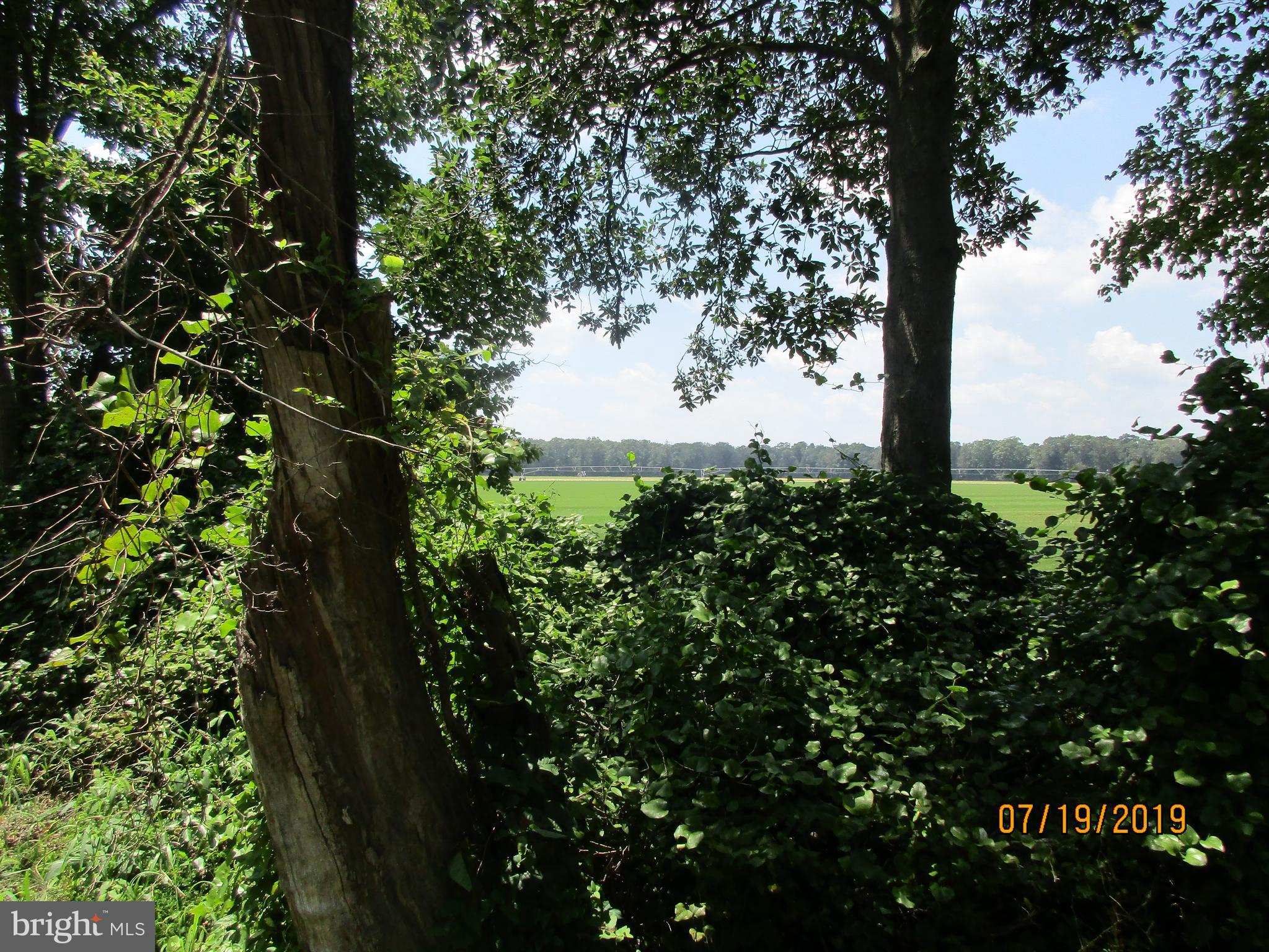 103 Stokes Road Shamong, NJ 08088 - Photo 22 of 23 View of field