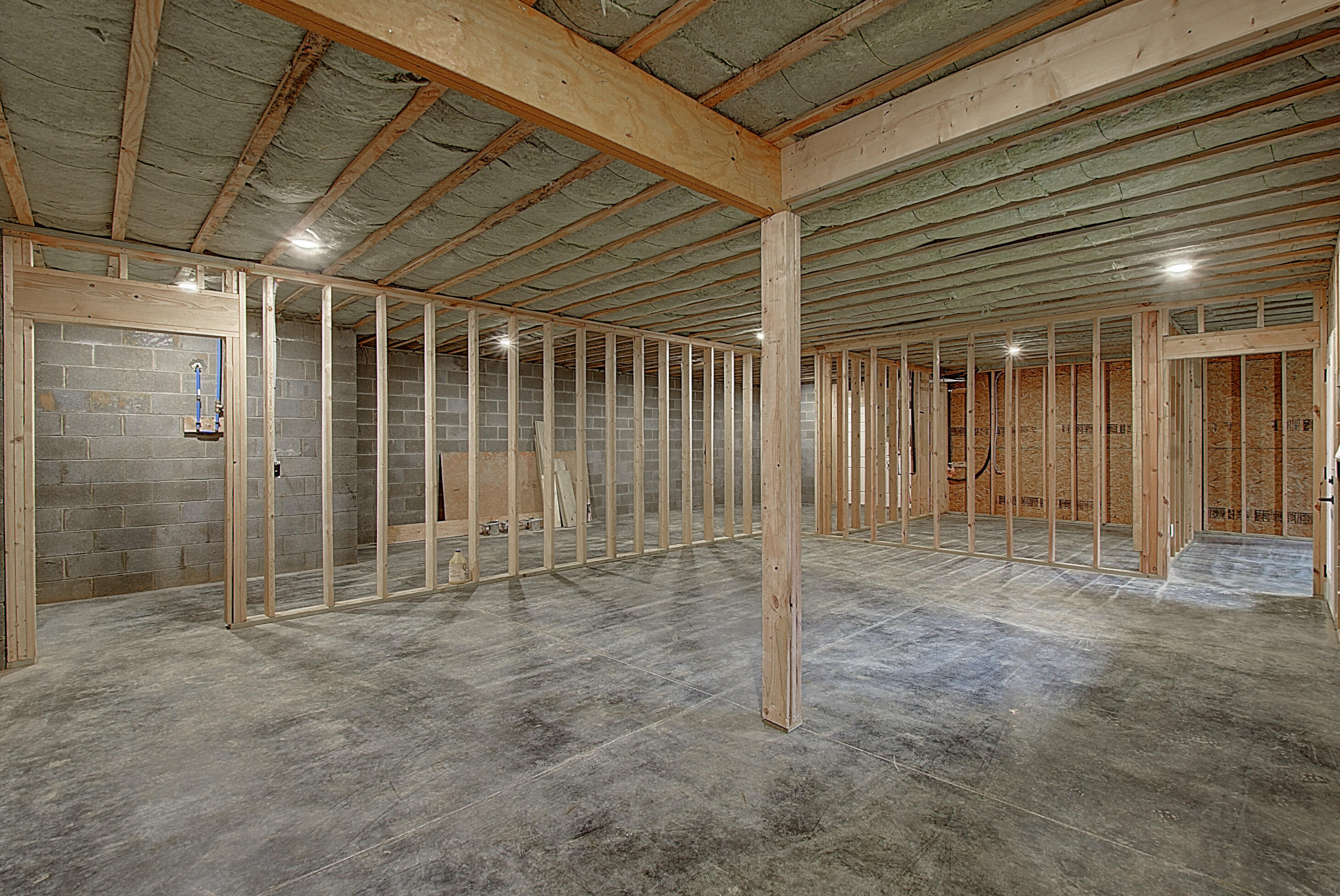 1535 Prospects Way Gray, TN 37615 - Photo 47 of 52 DSC_0874And8more