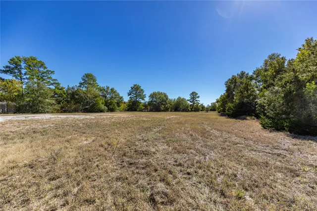 $3,000 | 351 East Glenn Street, Bellville, TX 77418