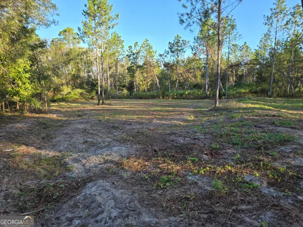 $35,000 | 600 Alton Lawson Road, Adrian, GA 31002