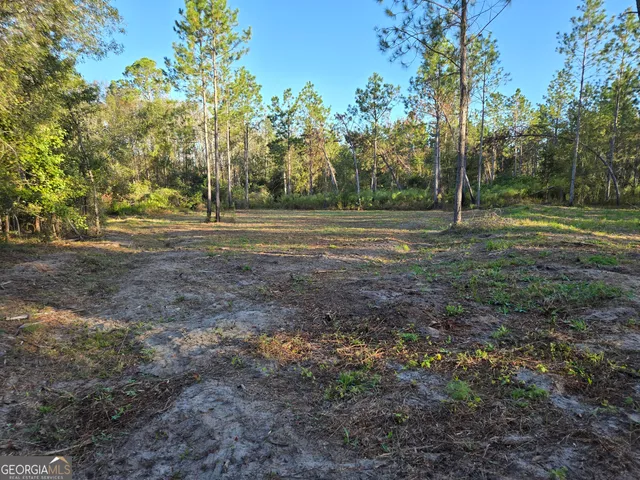 $35,000 | 600 Alton Lawson Road, Adrian, GA 31002