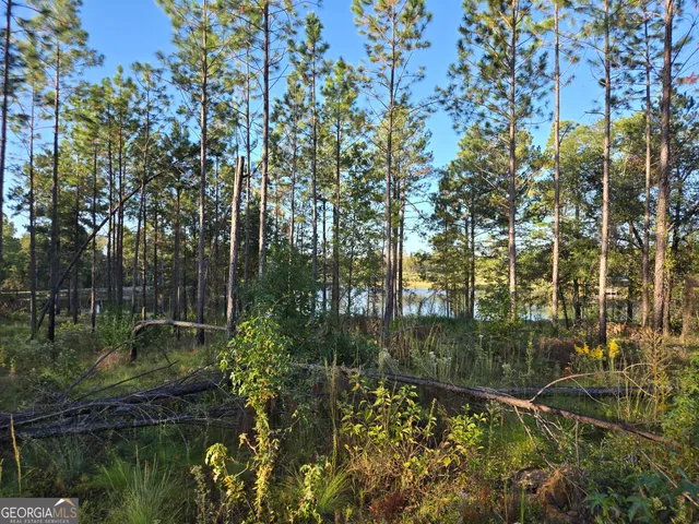 $35,000 | 600 Alton Lawson Road, Adrian, GA 31002