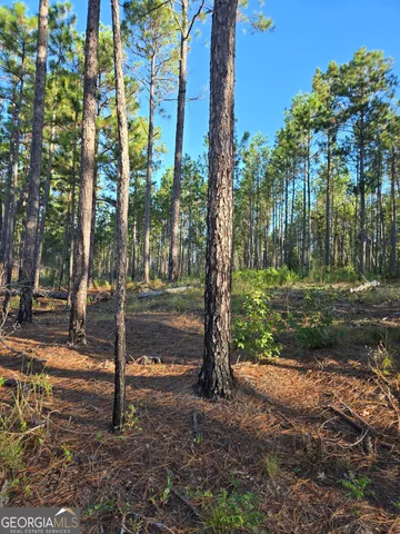 $35,000 | 600 Alton Lawson Road, Adrian, GA 31002