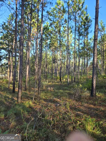 $35,000 | 600 Alton Lawson Road, Adrian, GA 31002