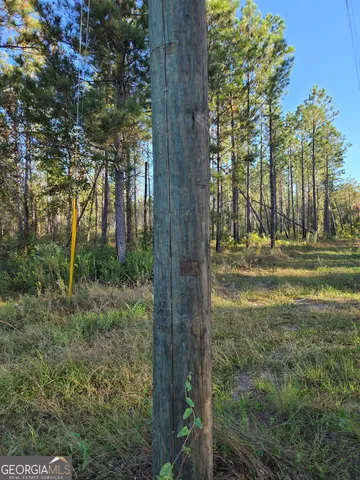 $35,000 | 600 Alton Lawson Road, Adrian, GA 31002