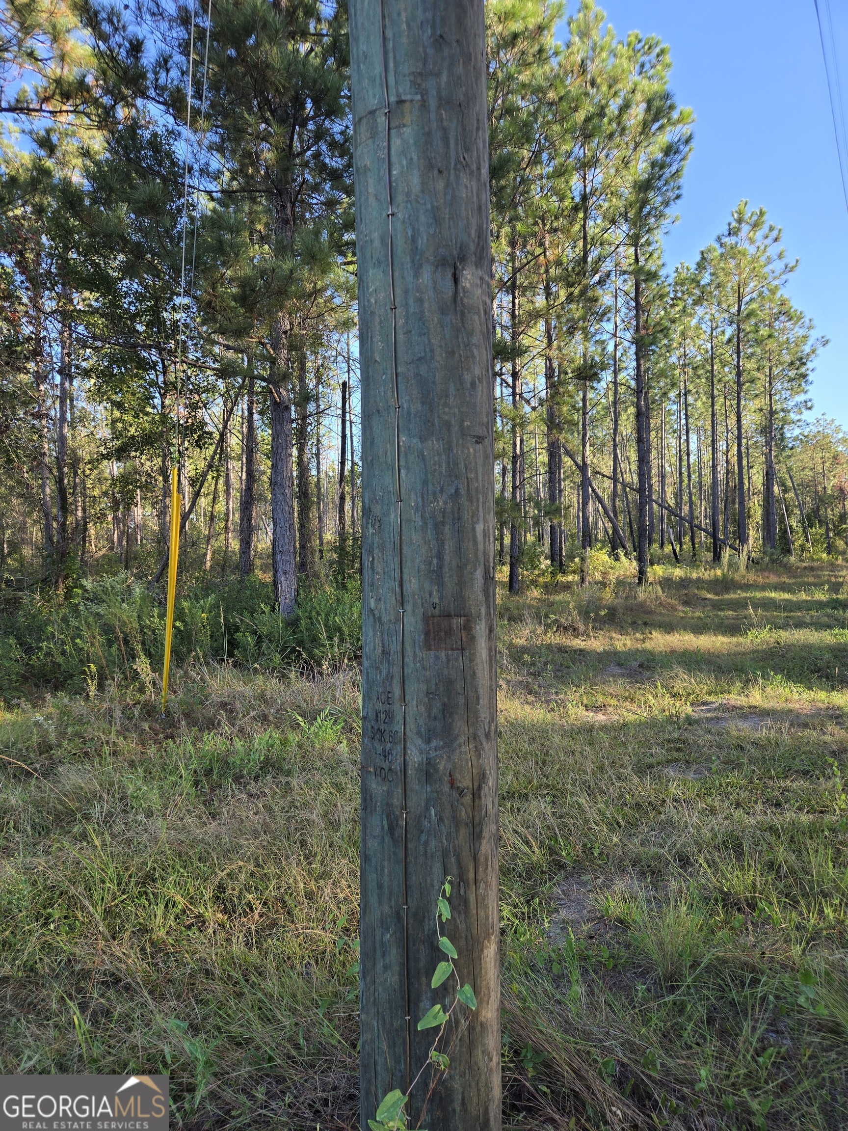 600 Alton Lawson Road Adrian, GA 31002 - Photo 8 of 10