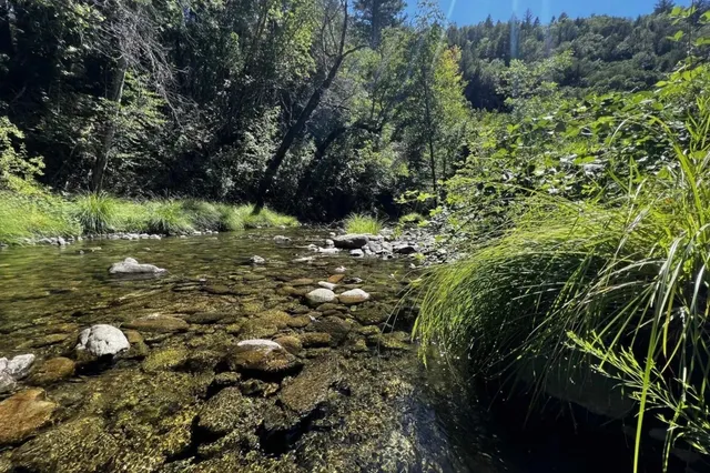 $99,000 | 26410 Highway 3, Douglas City, CA 96024