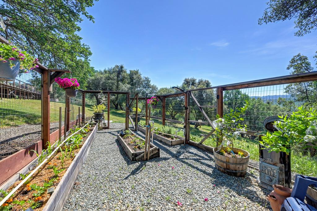 3716 Murphy Ranch Road Placerville, CA 95667 - Photo 76 of 87