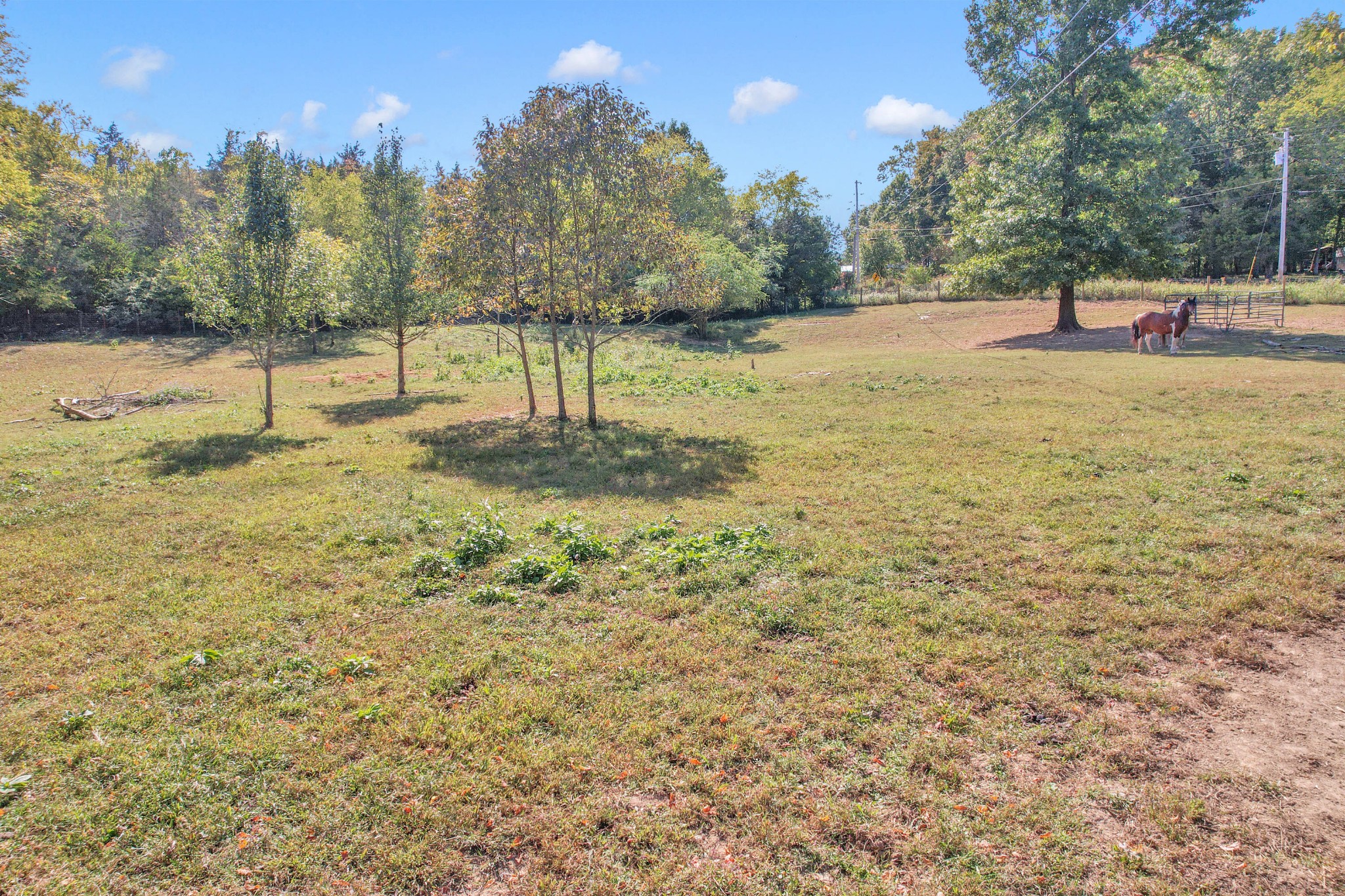 1814 Lasea Road Spring Hill, TN 37174 - Photo 46 of 62 Gallery Image 46