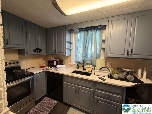 a kitchen with a sink cabinets and stainless steel appliances