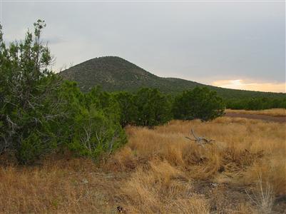 2068 East Fir Road Williams, AZ 86046 - Photo 1 of 3 Primary Photo