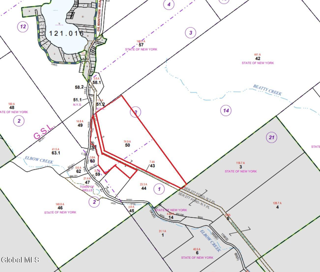 L50 Gilmantown Road Wells, NY 12190 - Photo 8 of 8 tax map