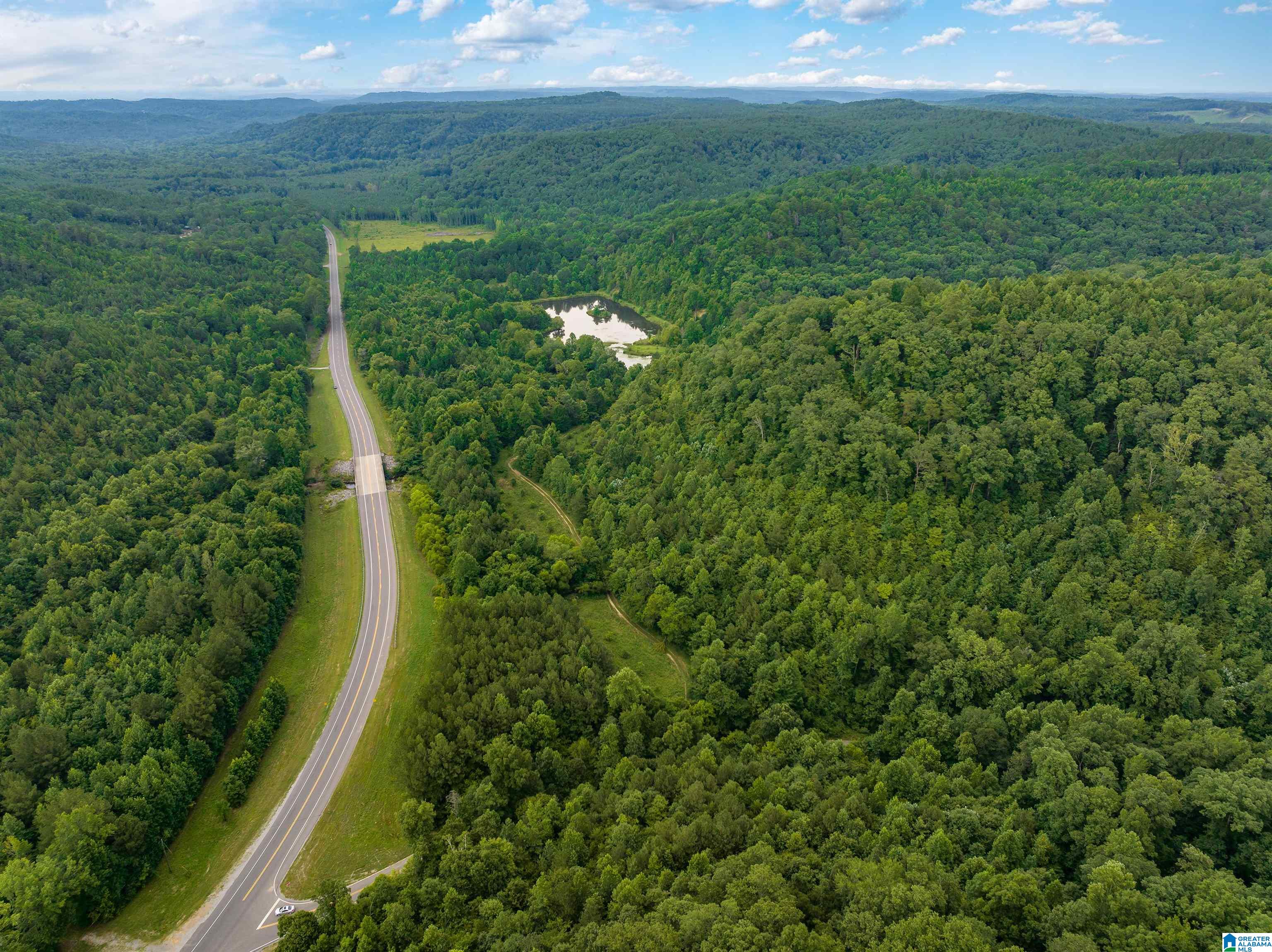 81 Frozen Hollow Road, Unit 32 Carbon Hill, AL 35549 - Photo 5 of 42