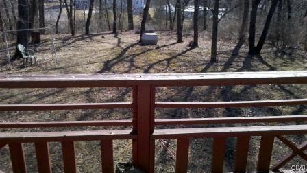 401 Long Run Road Lehighton, PA 18235 - Photo 4 of 7 View from back porch