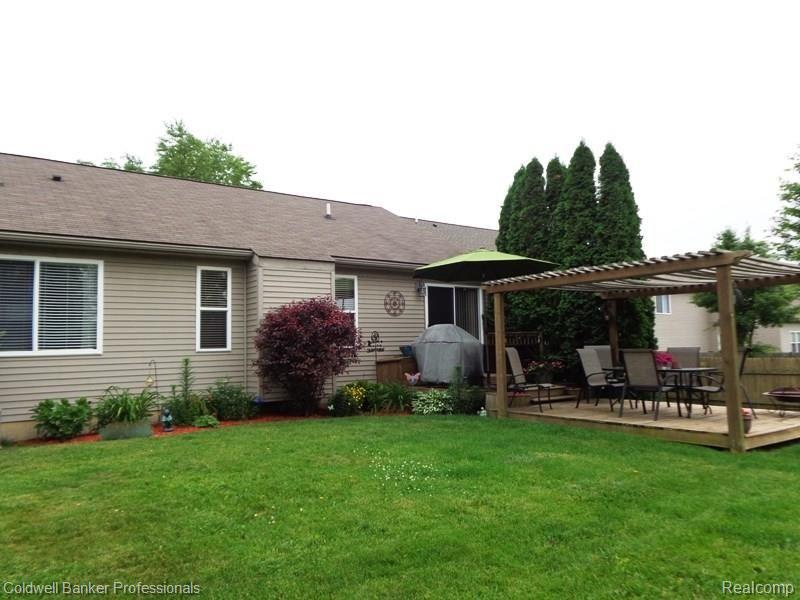 Back yard 4.jpg