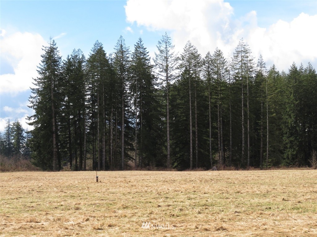 51 Calder Road Elma, WA 98541 - Photo 1 of 25 Gallery Image 1