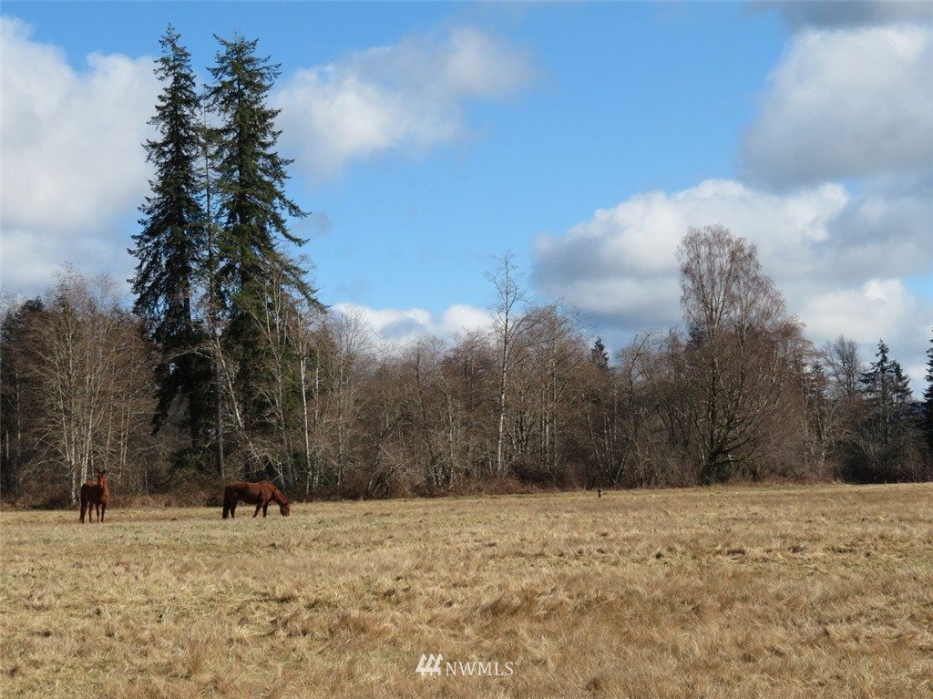 51 Calder Road Elma, WA 98541 - Photo 11 of 25 Gallery Image 11