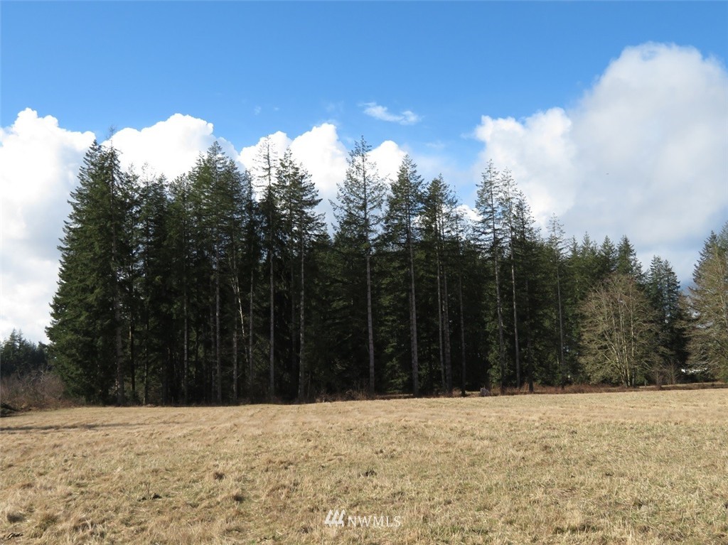 51 Calder Road Elma, WA 98541 - Photo 12 of 25 Gallery Image 12