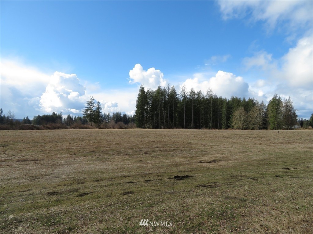 51 Calder Road Elma, WA 98541 - Photo 15 of 25 Gallery Image 15