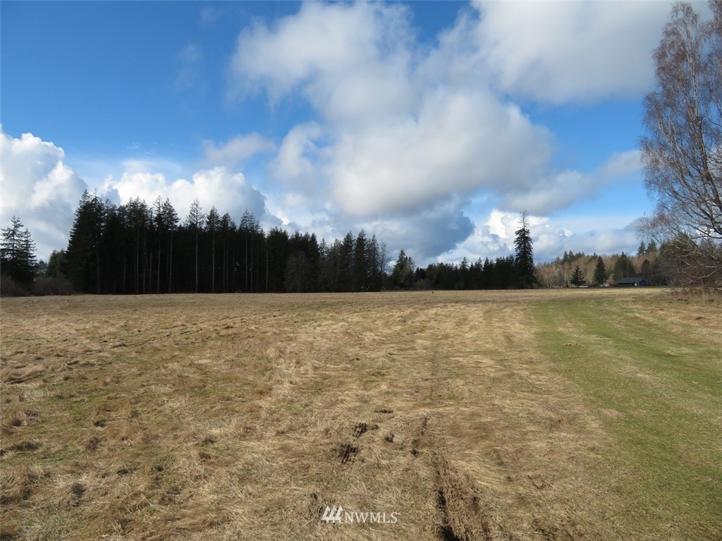 51 Calder Road Elma, WA 98541 - Photo 16 of 25 Gallery Image 16