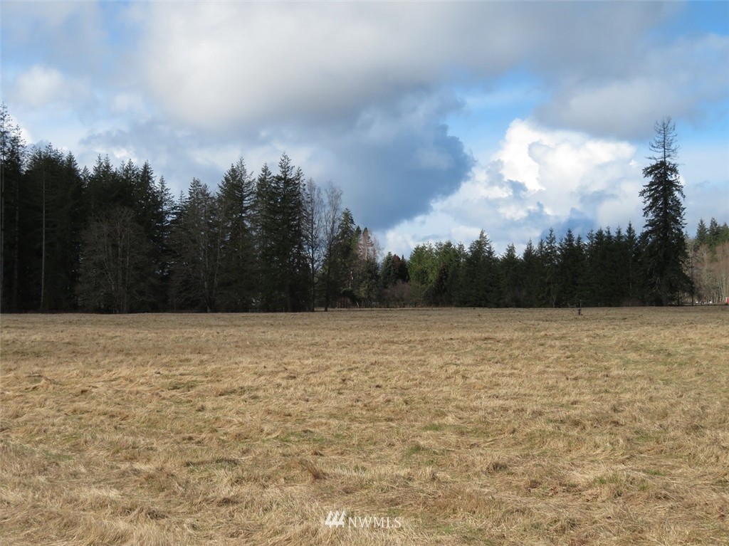 51 Calder Road Elma, WA 98541 - Photo 18 of 25 Gallery Image 18