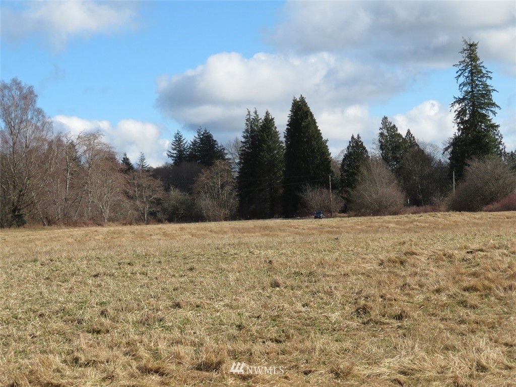 51 Calder Road Elma, WA 98541 - Photo 19 of 25 Gallery Image 19