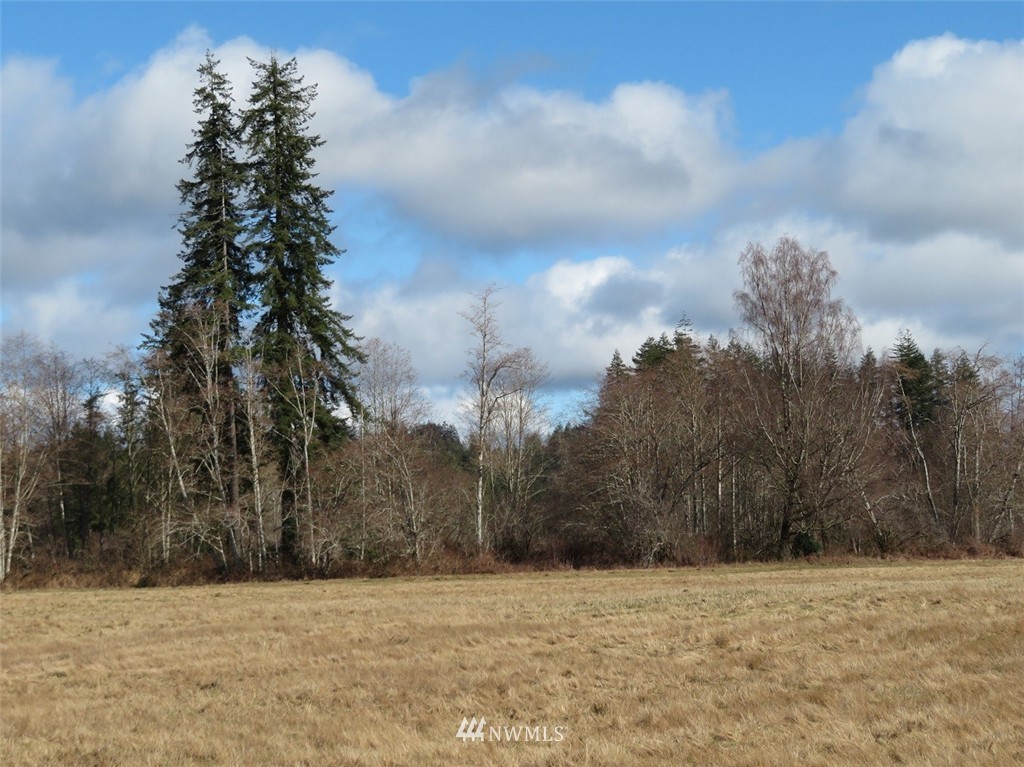51 Calder Road Elma, WA 98541 - Photo 20 of 25 Gallery Image 20