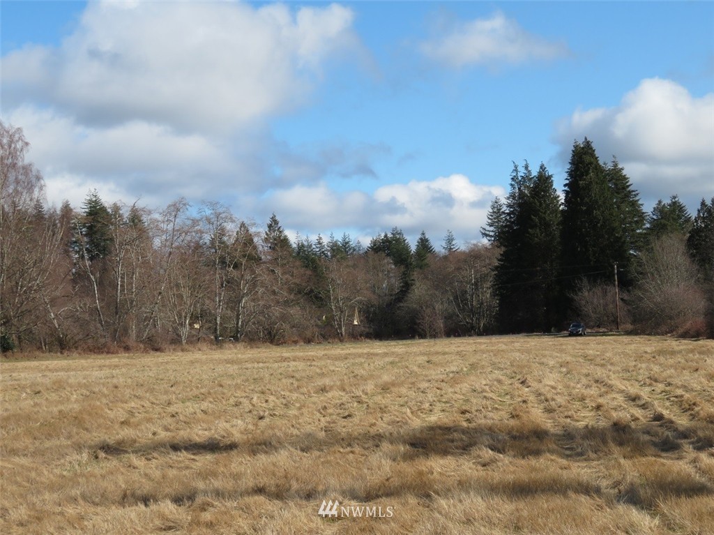 51 Calder Road Elma, WA 98541 - Photo 21 of 25 Gallery Image 21