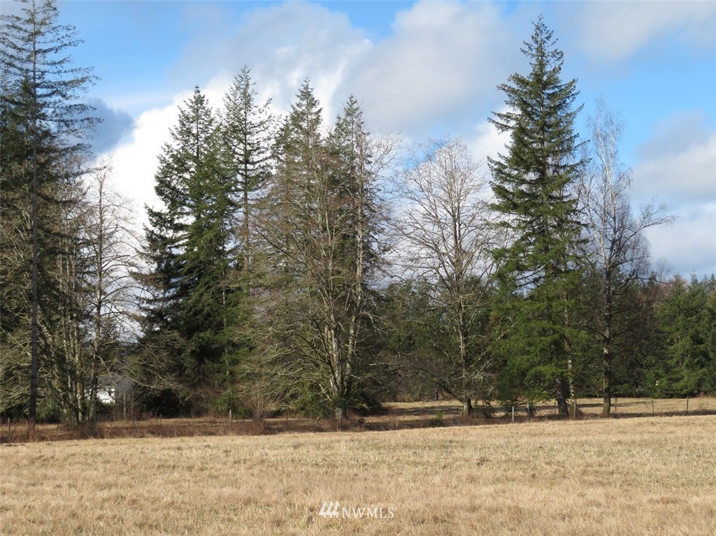 51 Calder Road Elma, WA 98541 - Photo 22 of 25 Gallery Image 22