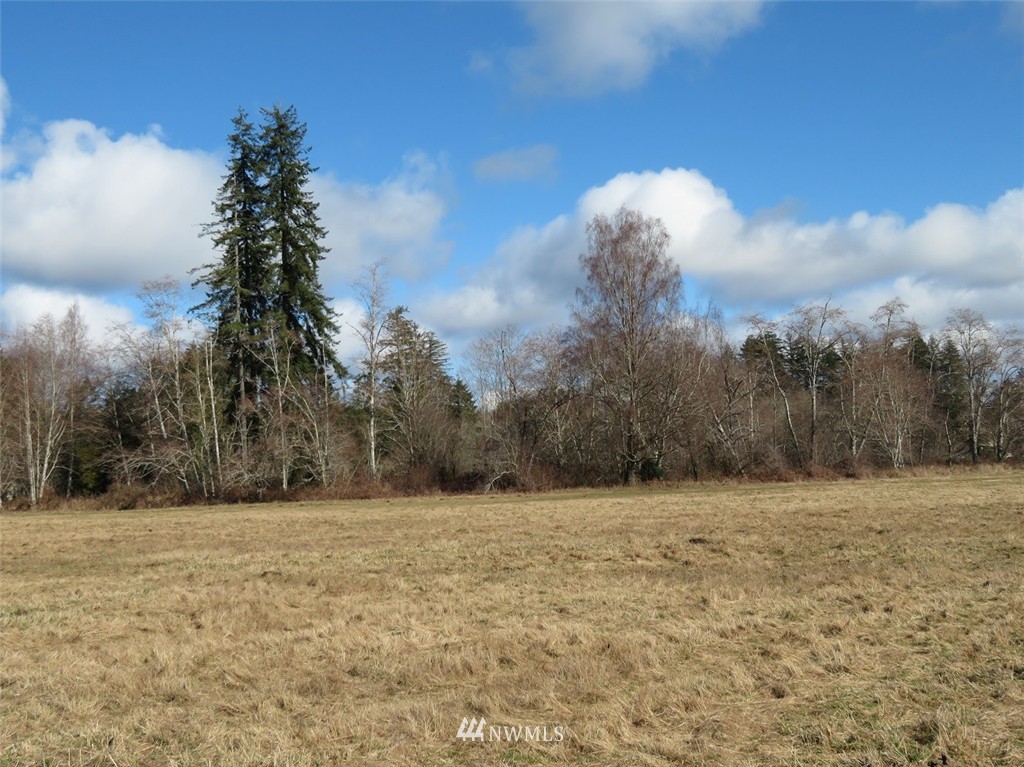 51 Calder Road Elma, WA 98541 - Photo 23 of 25 Gallery Image 23