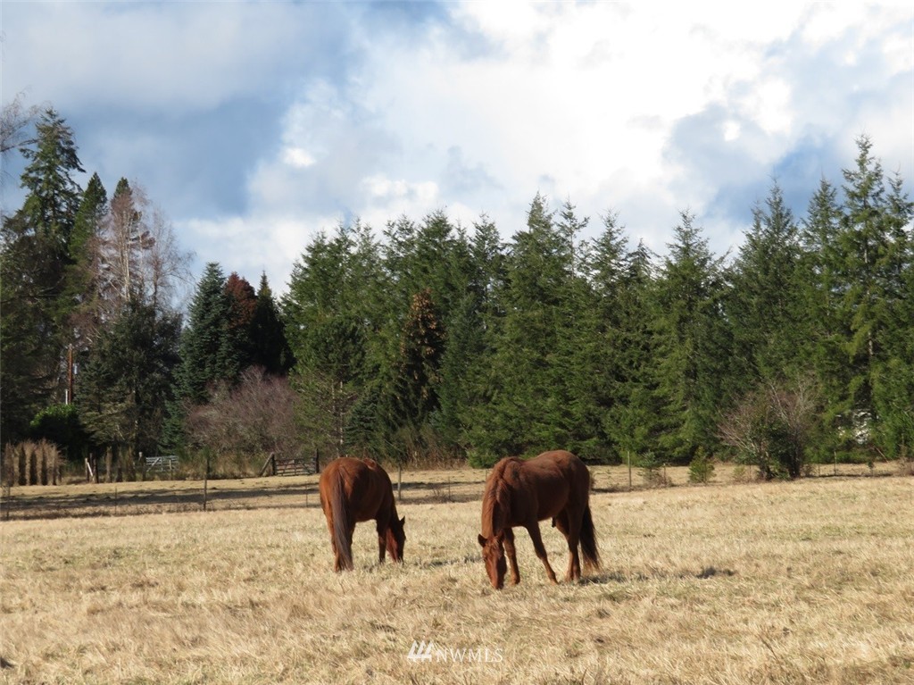 51 Calder Road Elma, WA 98541 - Photo 24 of 25 Gallery Image 24