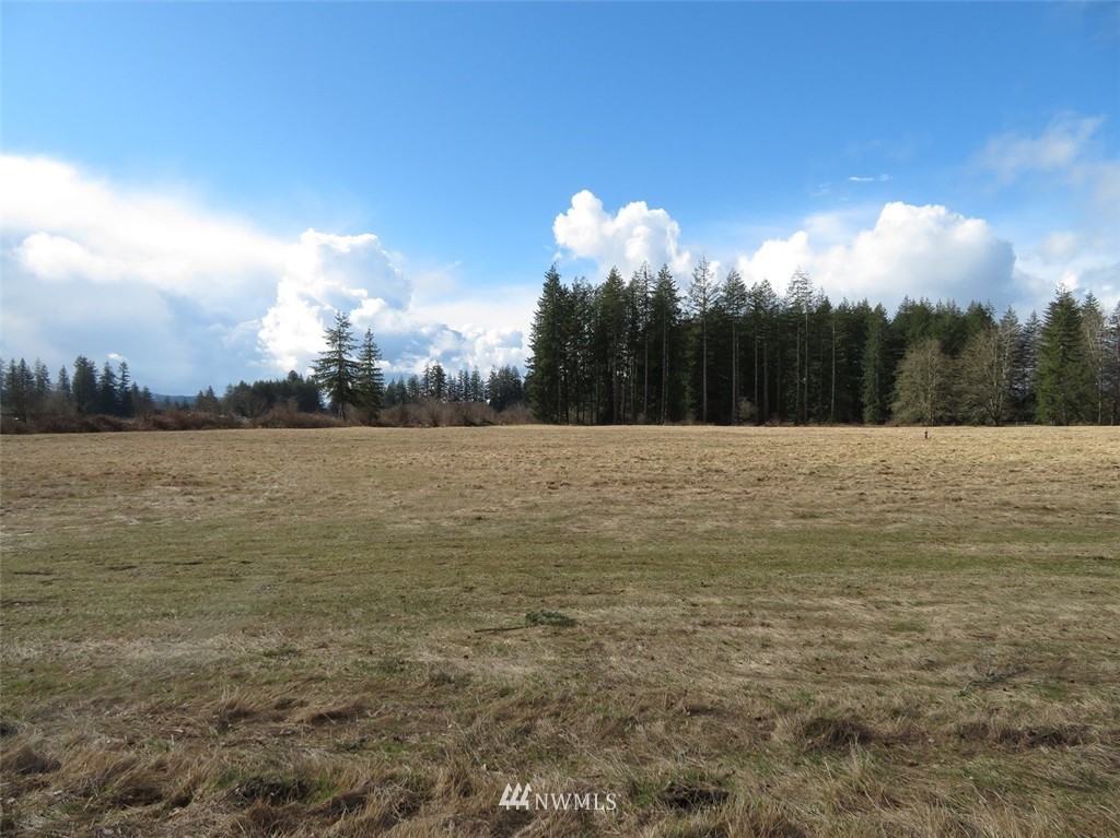 51 Calder Road Elma, WA 98541 - Photo 8 of 25 Gallery Image 8