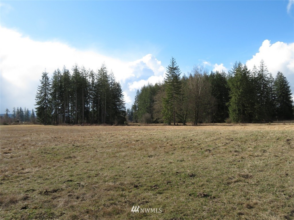 51 Calder Road Elma, WA 98541 - Photo 10 of 25 Gallery Image 10