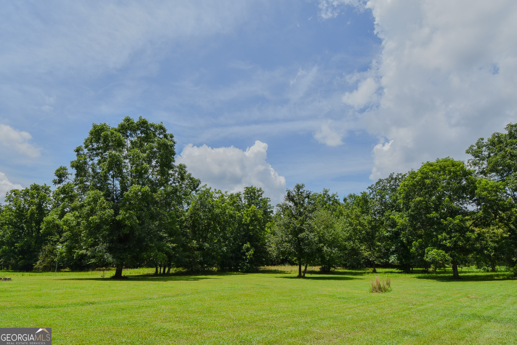 892 Thurston School Road Thomaston, GA 30286 - Photo 7 of 53