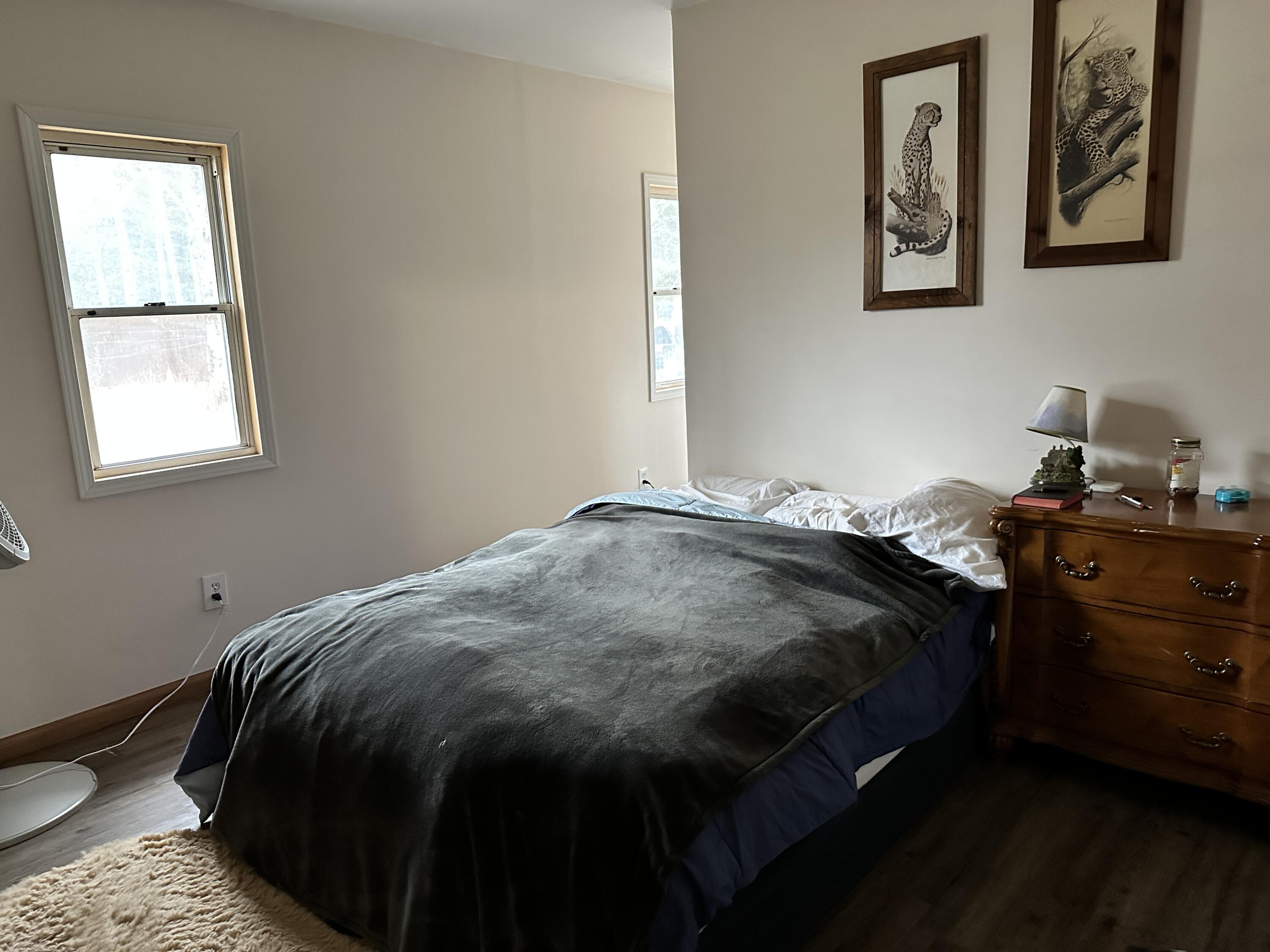 8860 South 225th Avenue Reed City, MI 49677 - Photo 17 of 23 IMG_0275