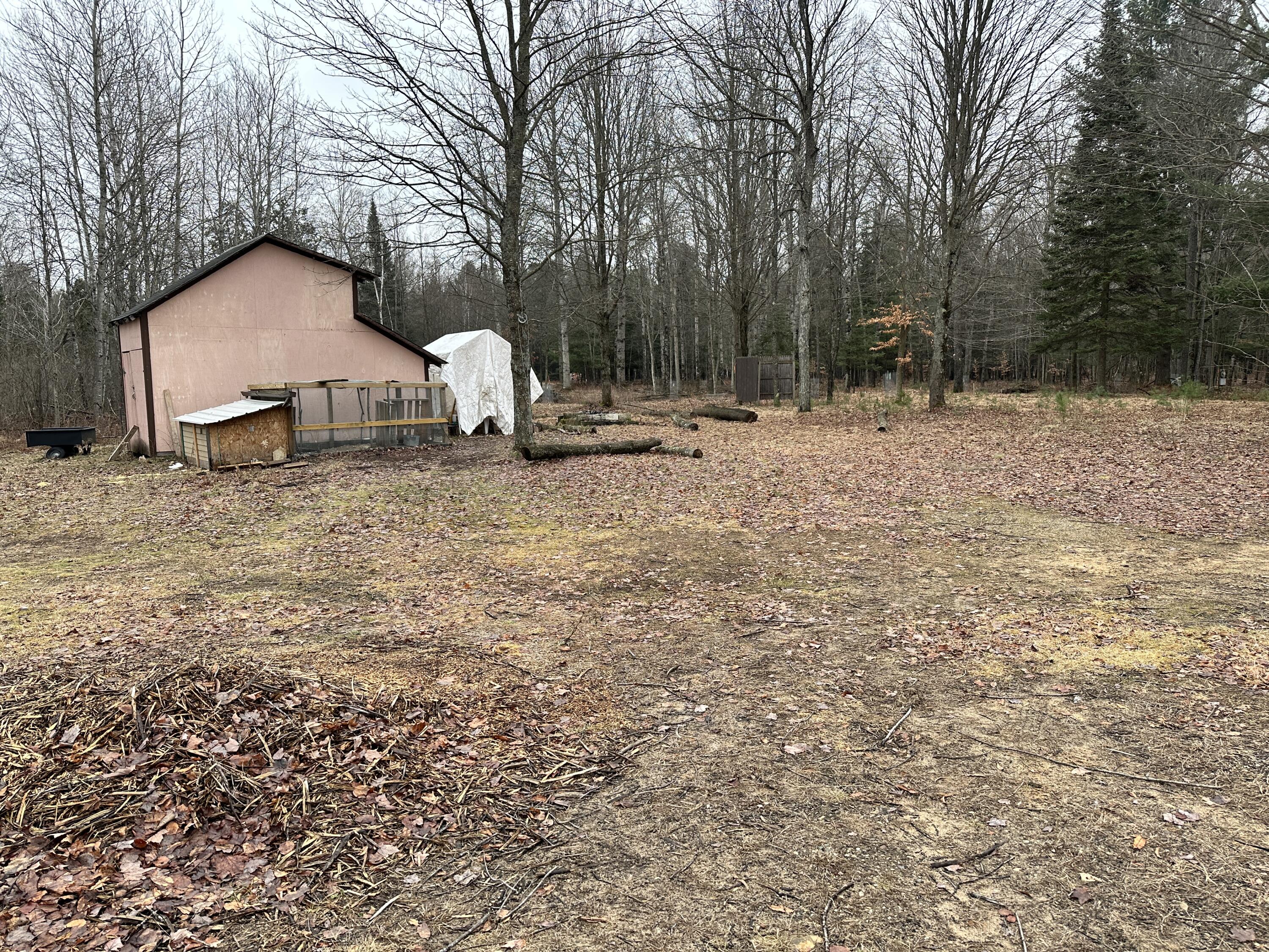 8860 South 225th Avenue Reed City, MI 49677 - Photo 6 of 23 IMG_0264