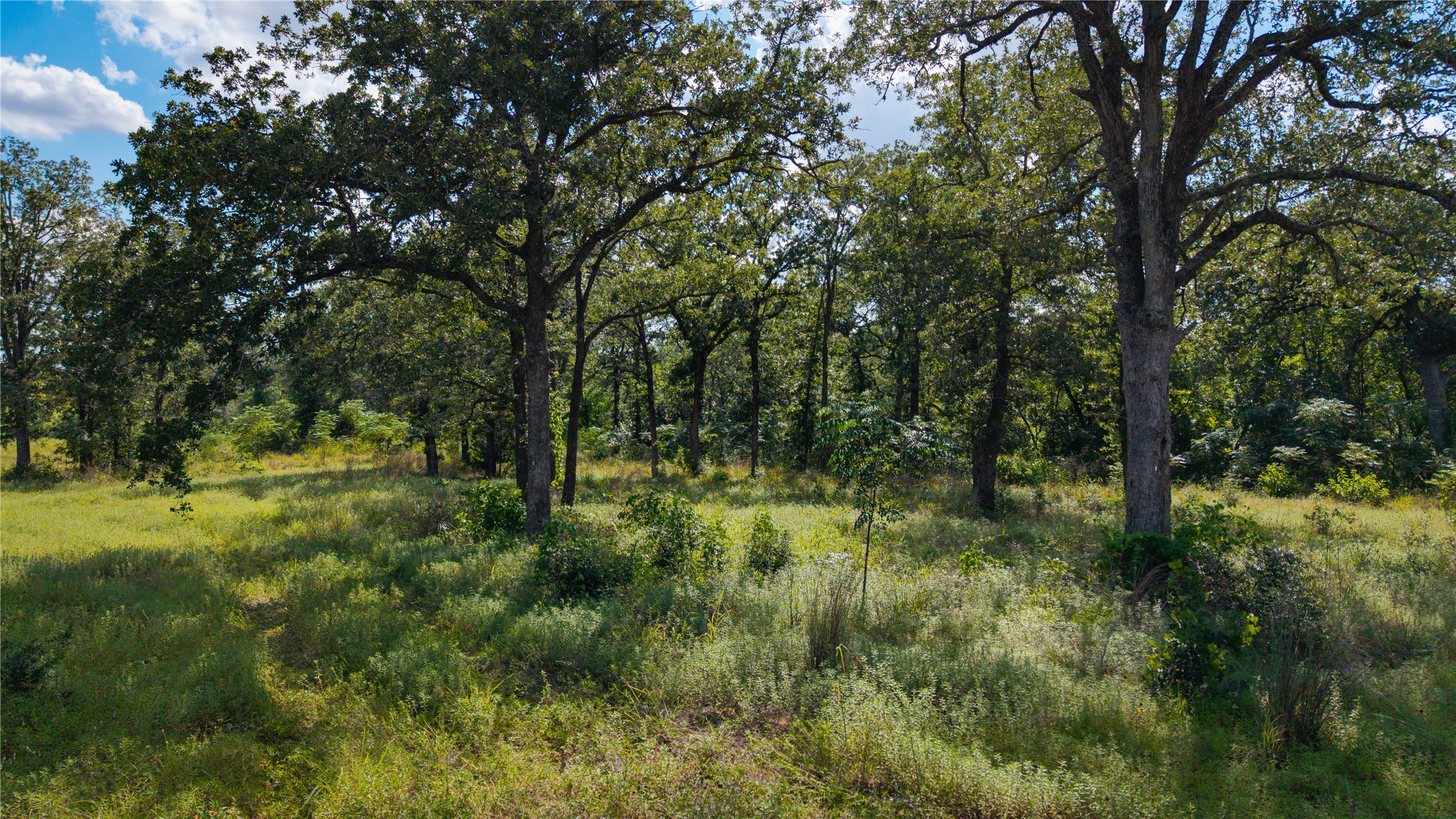206 Sayers Road Bastrop, TX 78602 - Photo 12 of 23 a view of outdoor space and trees all around