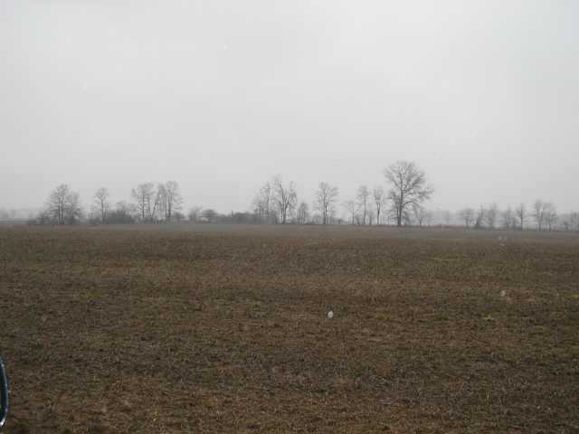 3 Morral-Kirkpatrick Road East Marion, OH 43302 - Photo 1 of 1 Gallery Image 1