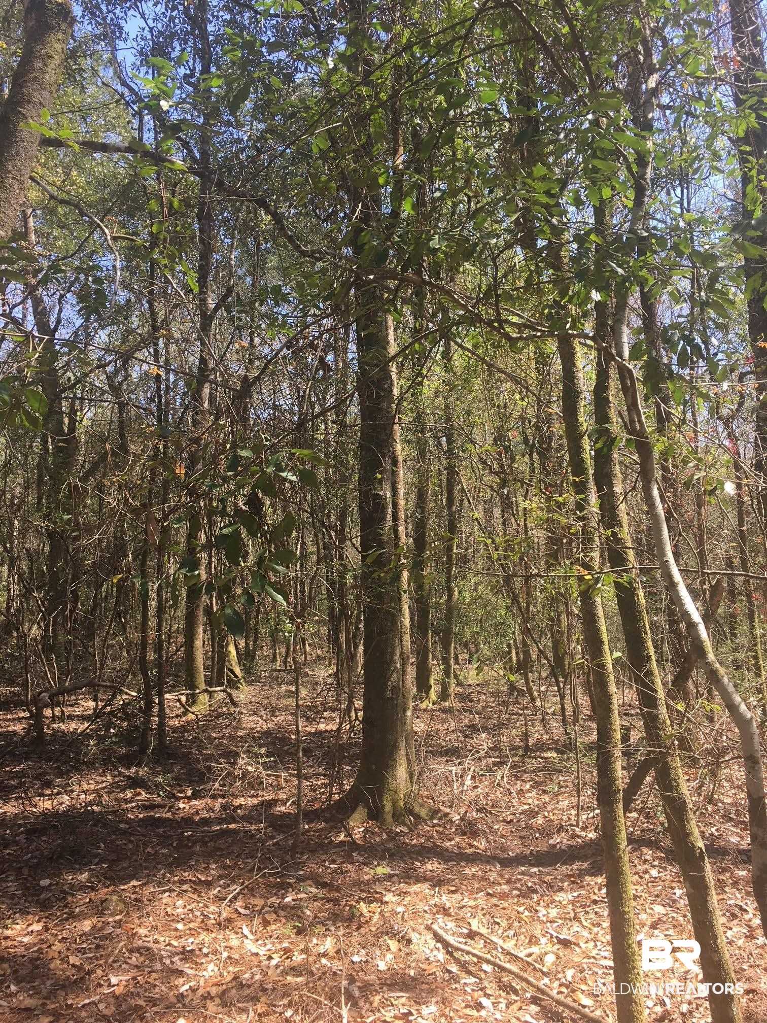 0 Foshee Road Brewton, AL 36426 - Photo 18 of 32