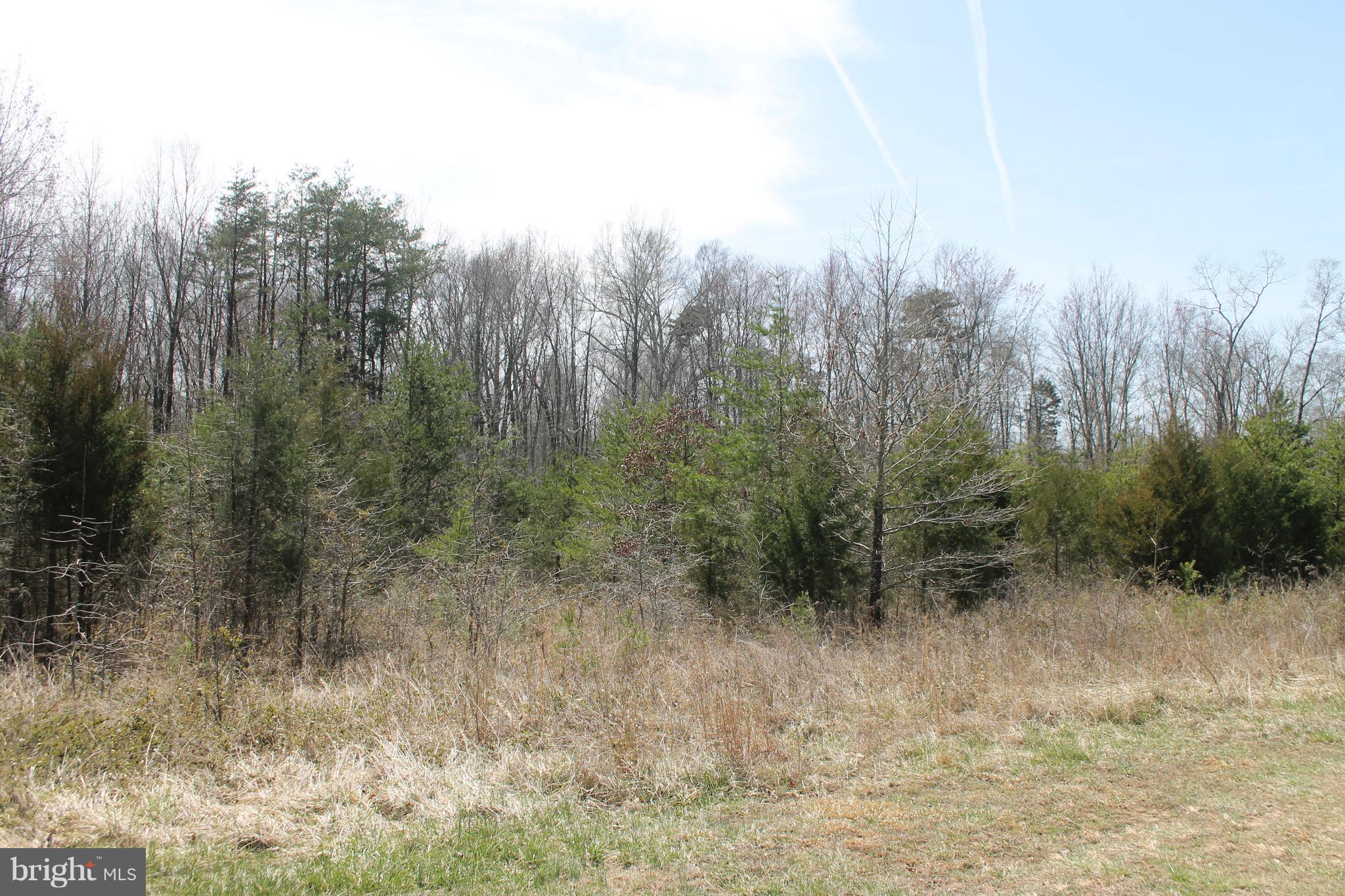 12009 Old Mill Road Midland, VA 22728 - Photo 24 of 27 Secluded setting