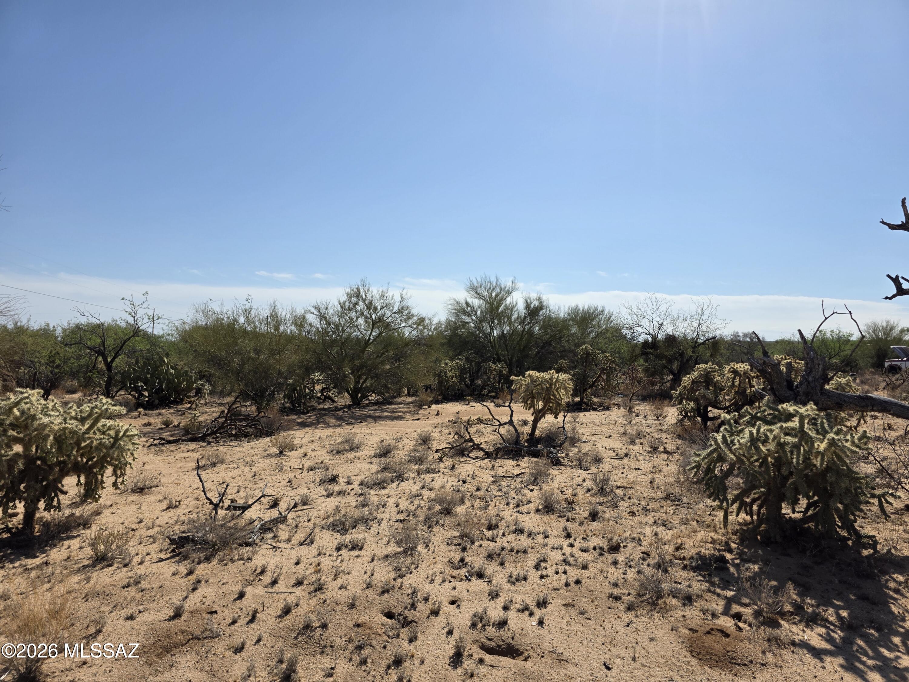 11553 South Wells Fargo Road Tucson, AZ 85736 - Photo 17 of 25 Wells Fargo View 6