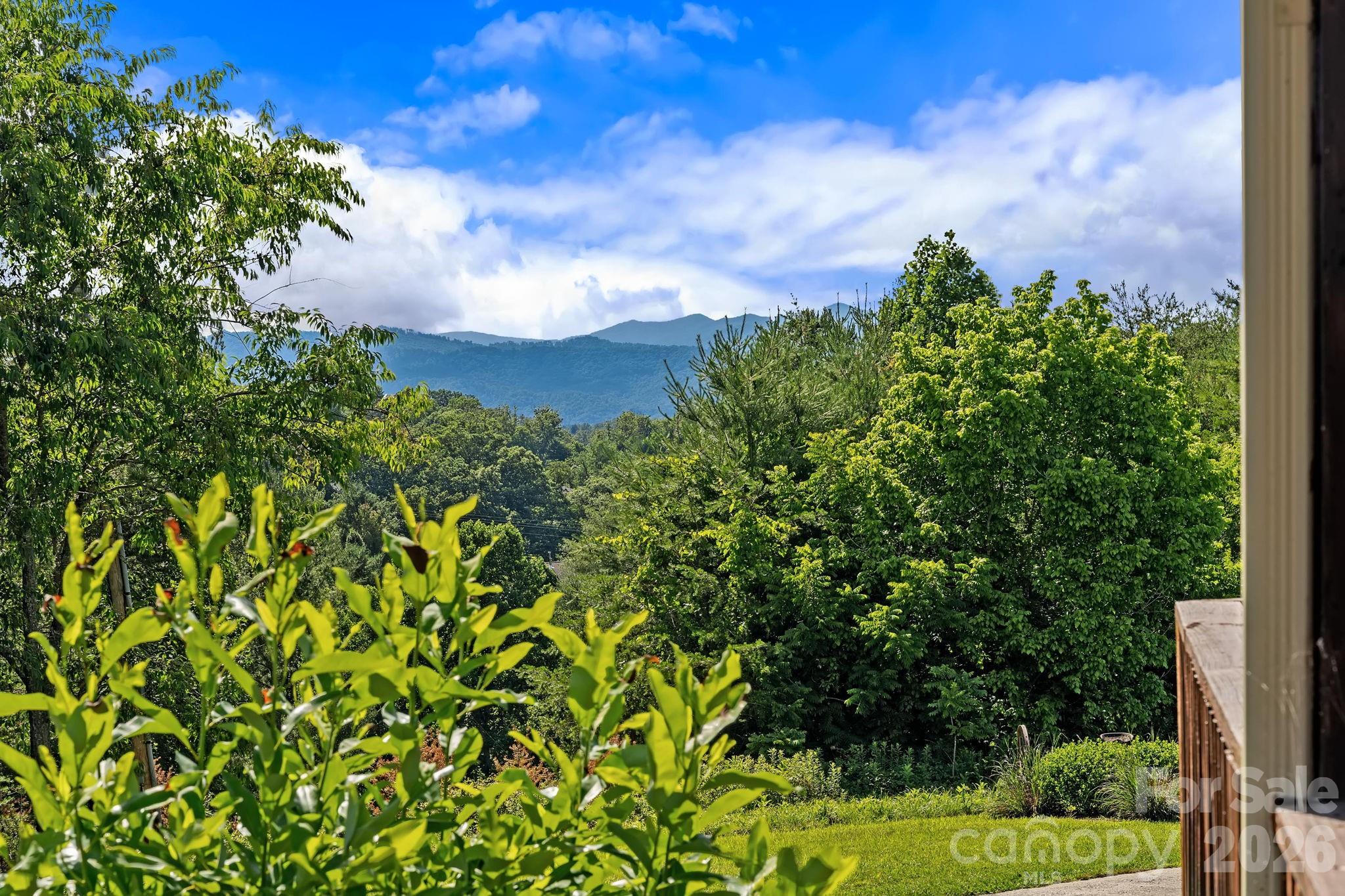 72 Ed Debruhl Road Alexander, NC 28701 - Photo 21 of 25